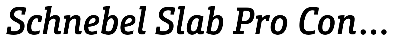 Schnebel Slab Pro Condensed Medium Italic